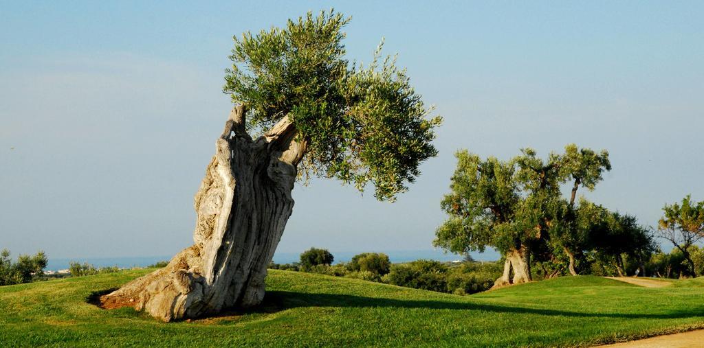 Albergo Masseria Refrigerio Ostuni Exterior photo